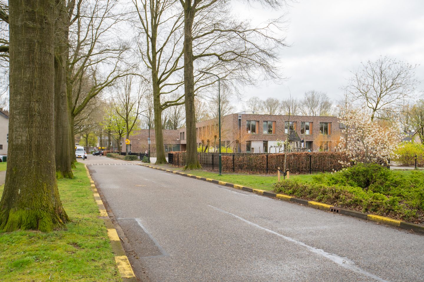 Foto 35 van Frans Halsstraat 25