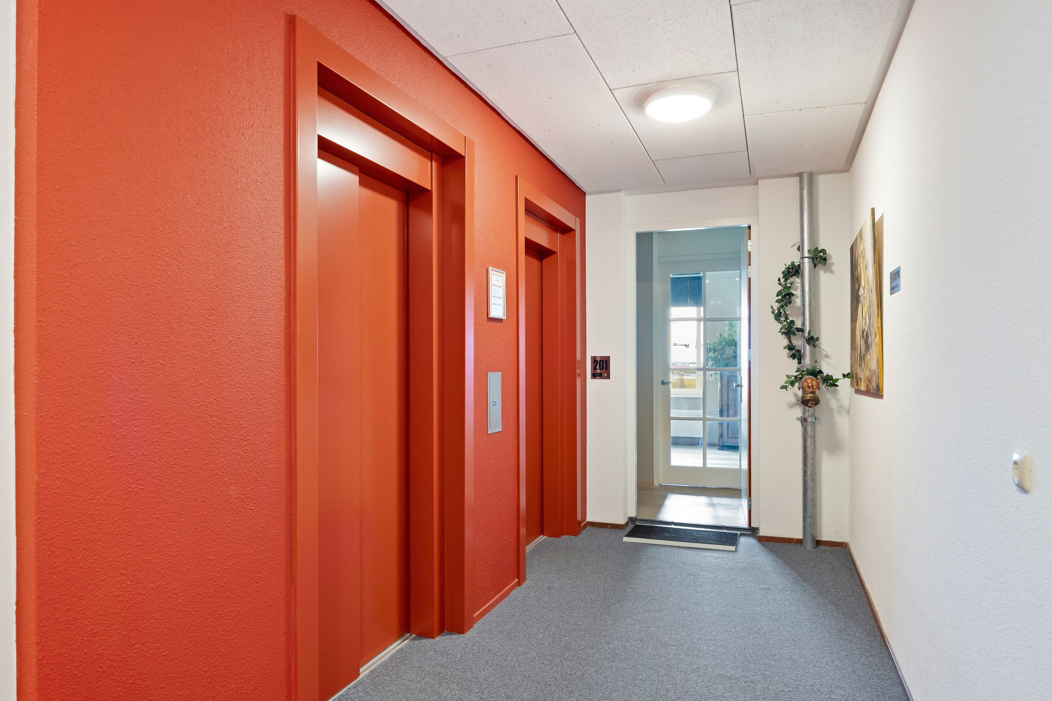 Foto 9 van De Malus 201