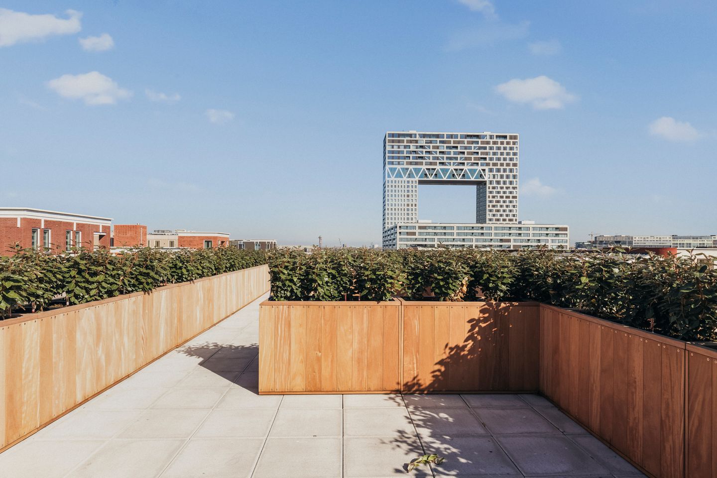 Foto 14 van Libau-eiland 27