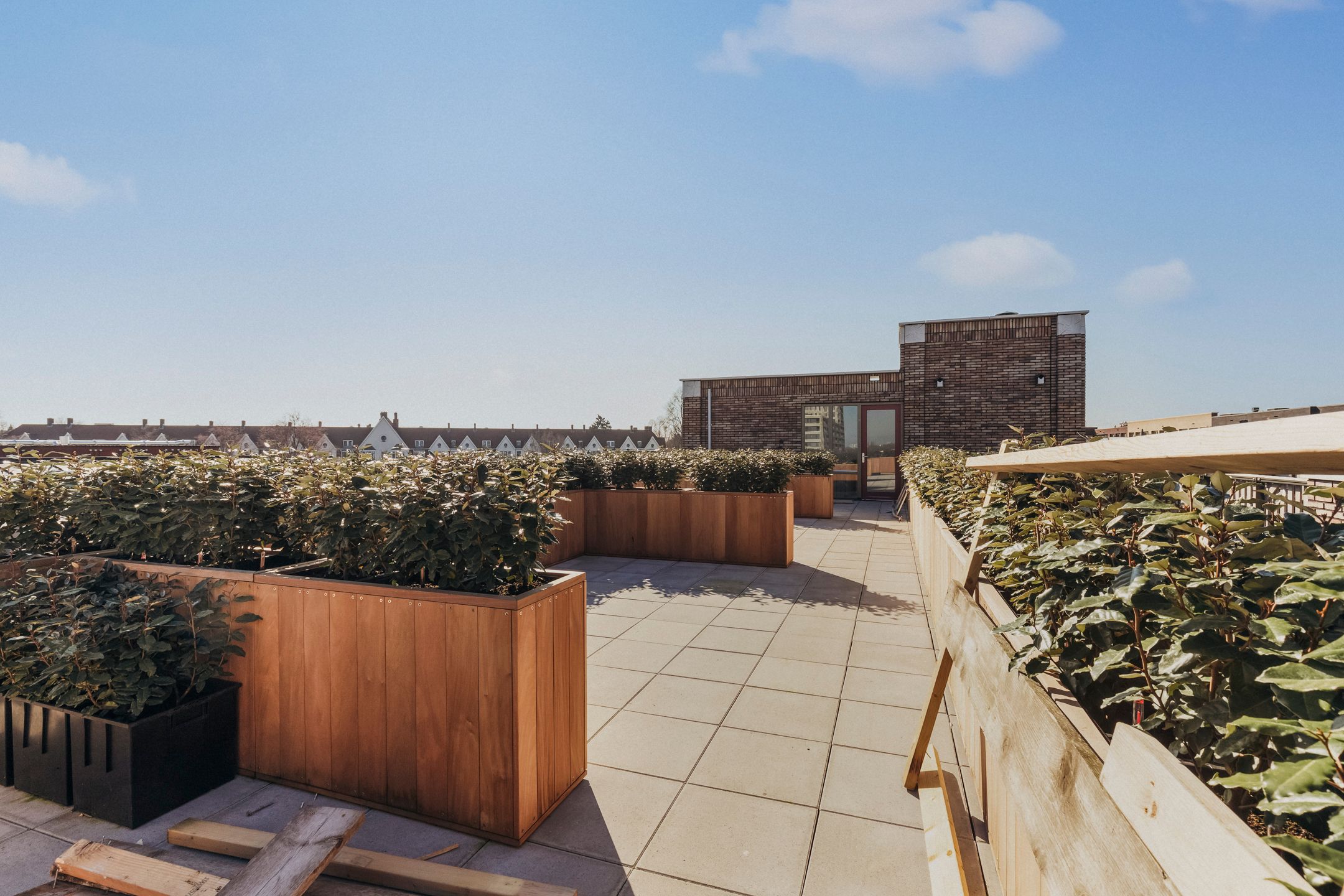 Foto 21 van Libau-eiland 27