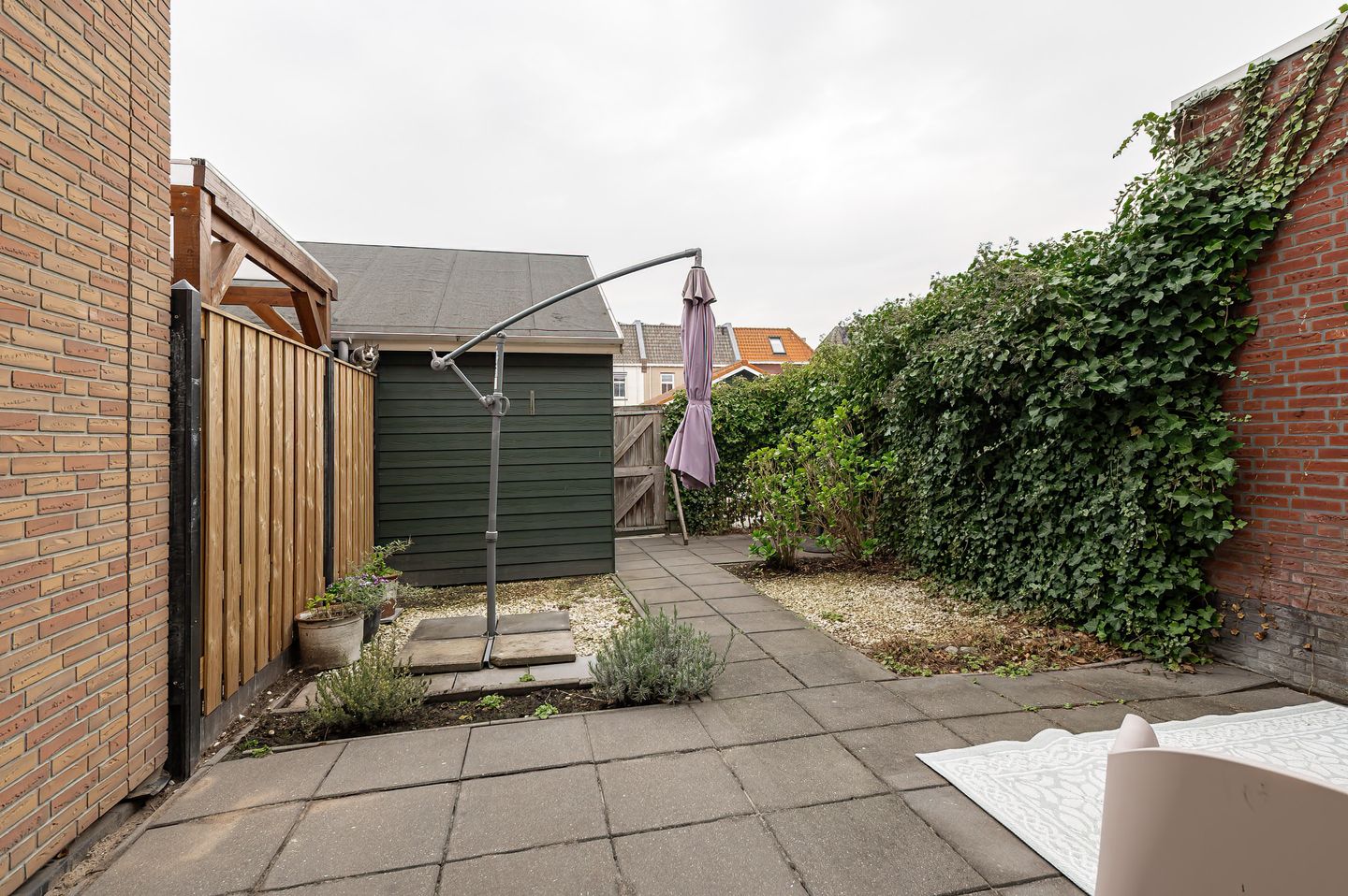 Foto 14 van Kuifeend 14