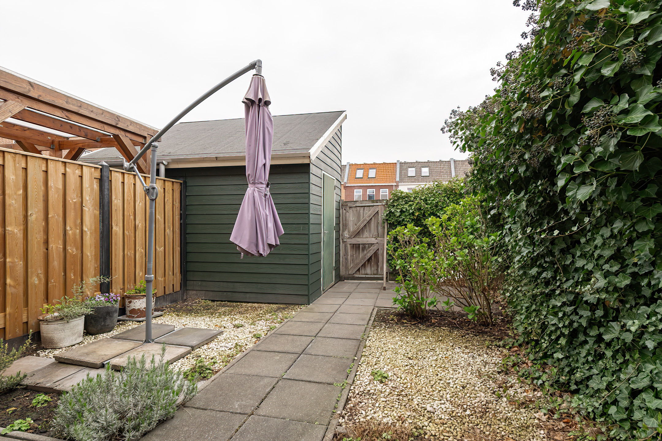 Foto 15 van Kuifeend 14