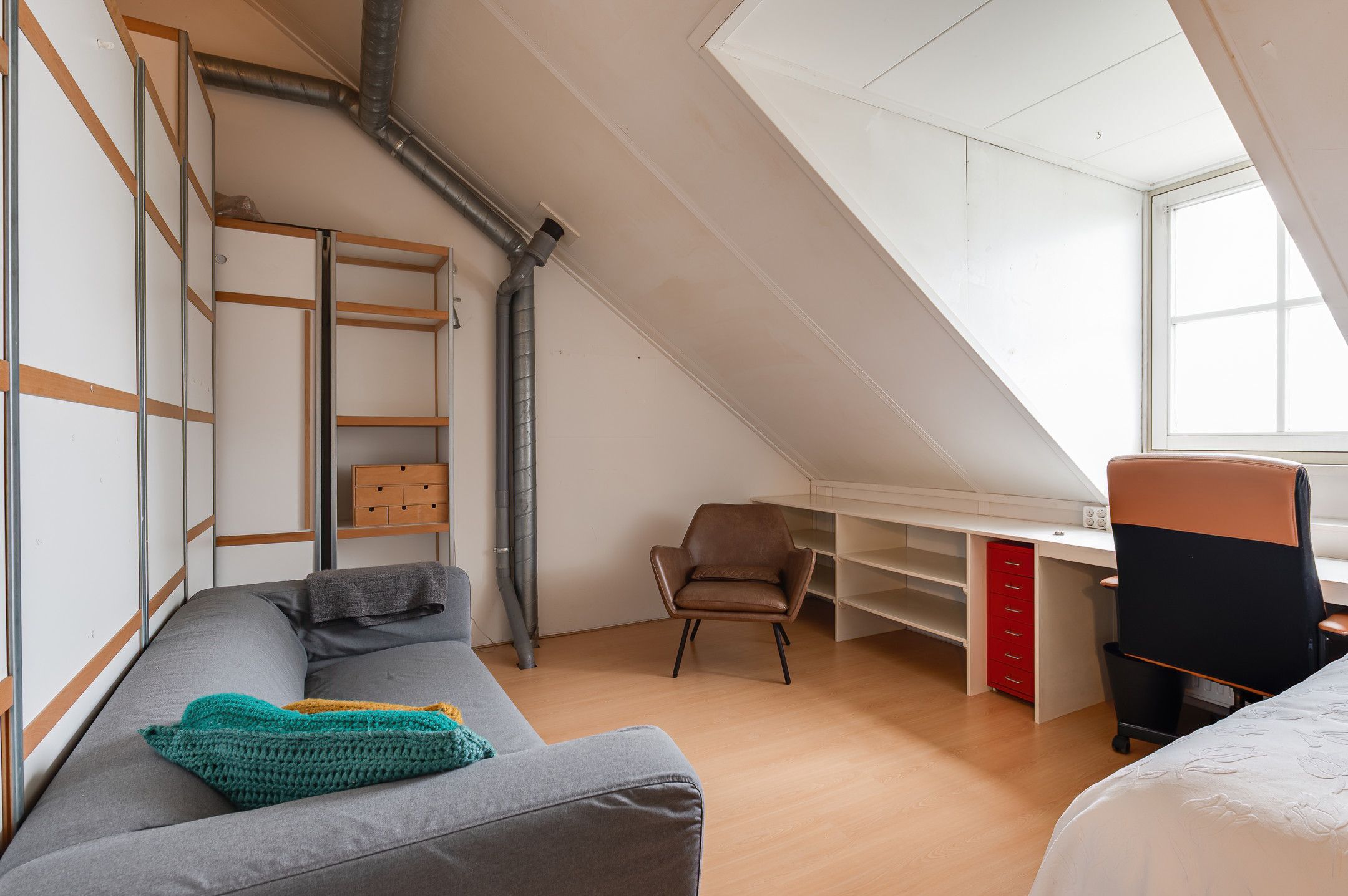 Foto 30 van Kuifeend 14