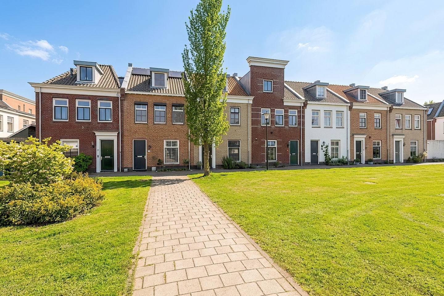 Foto 5 van Kuifeend 14