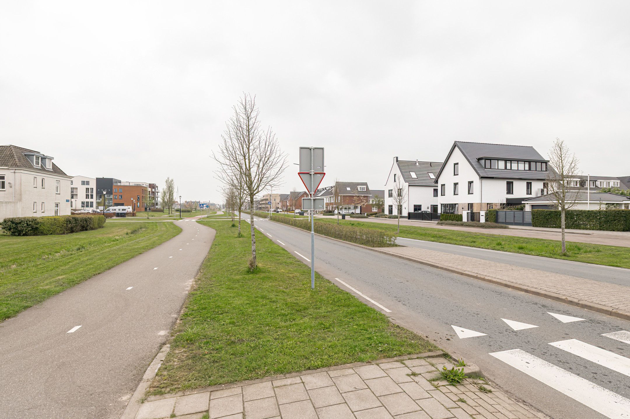 Foto 33 van Kuifeend 14