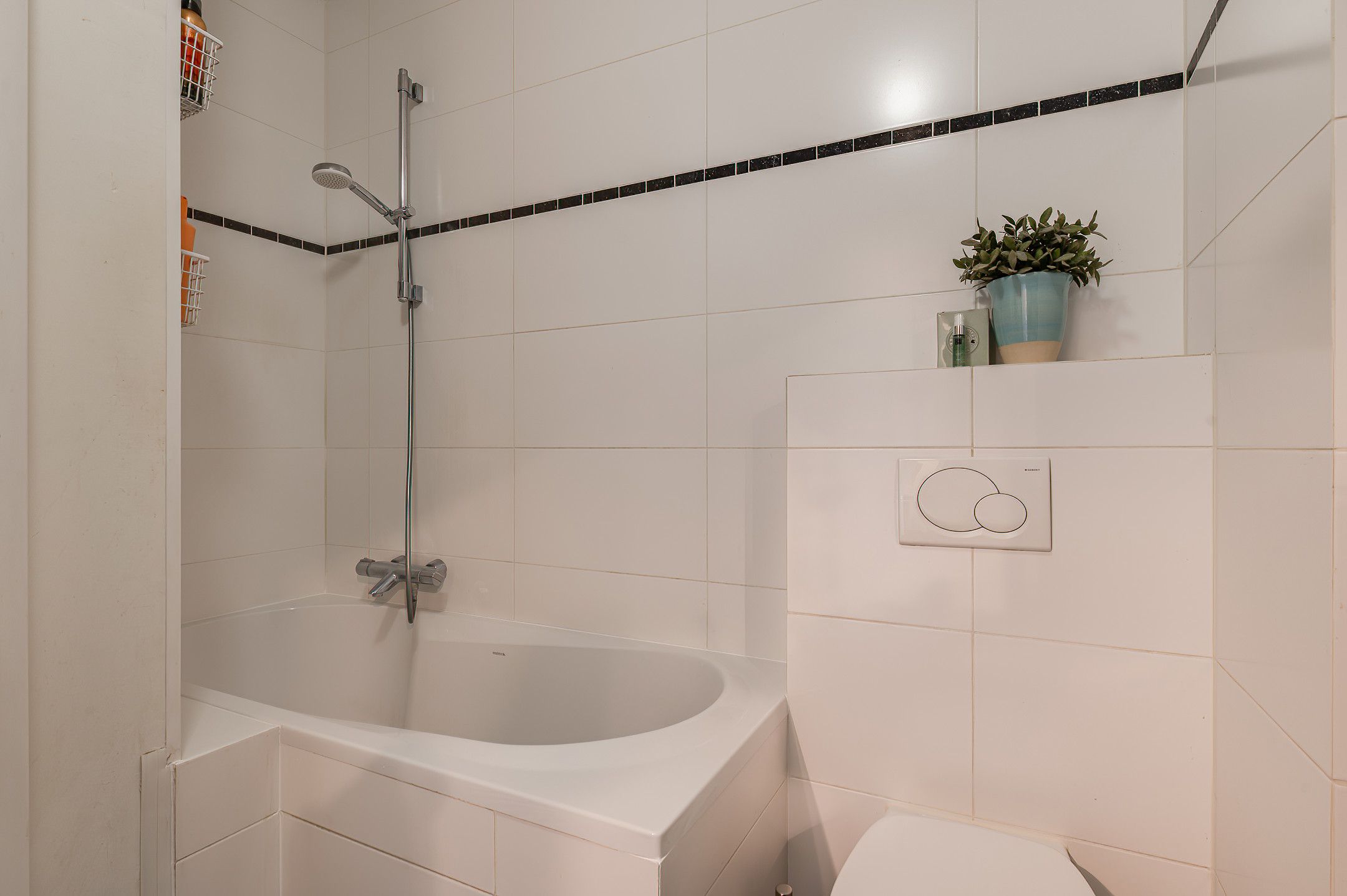 Foto 24 van Kuifeend 14