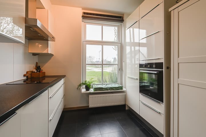 Foto 4 van Kuifeend 14