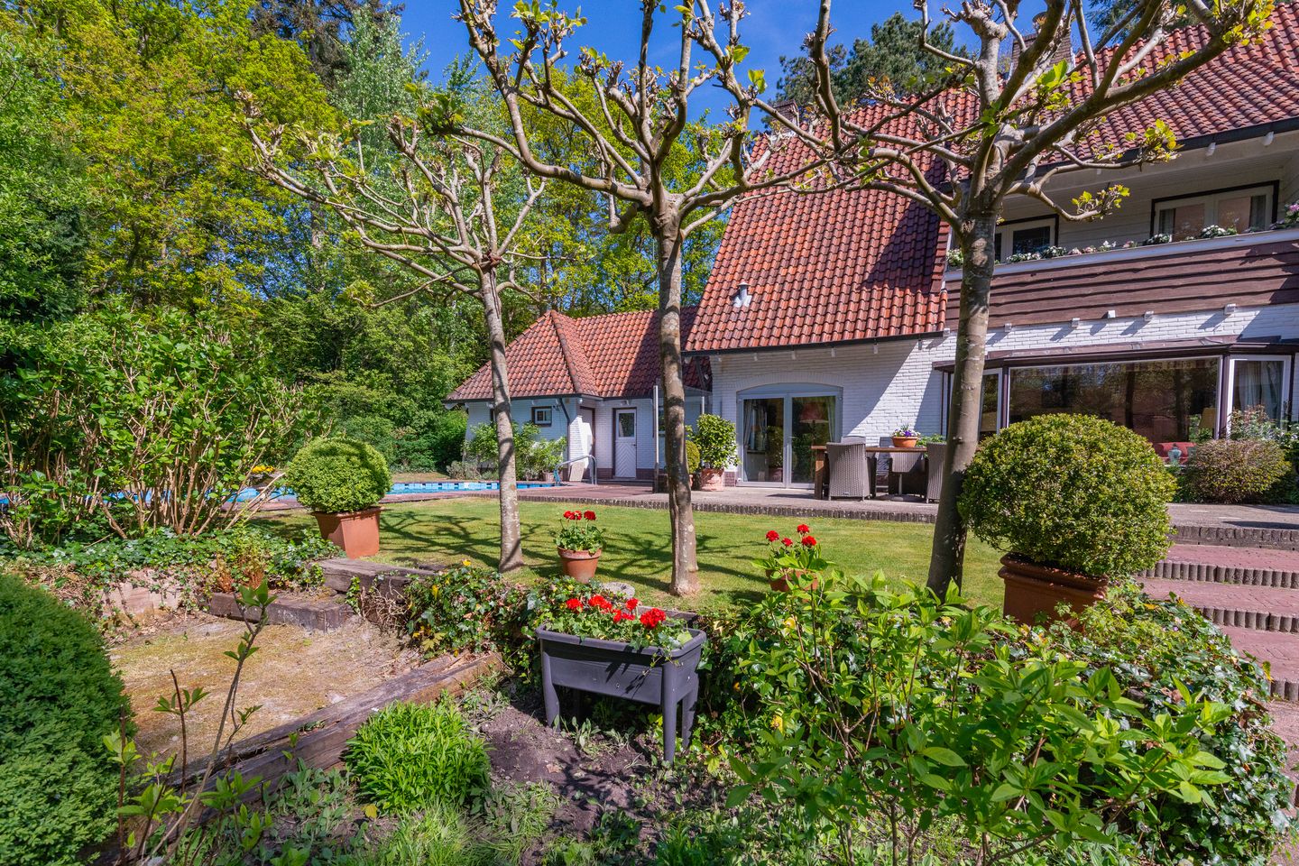 Foto 35 van Leeuwerikenlaan 1