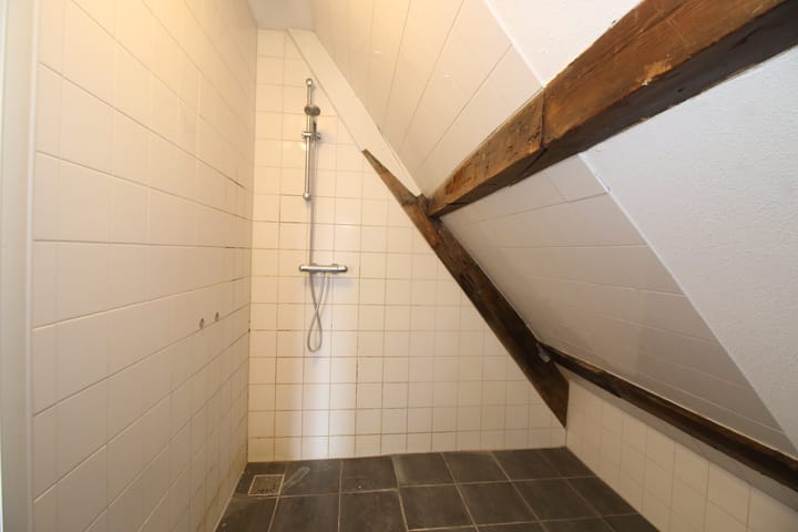 Foto 5 van Vriesestraat 33-B