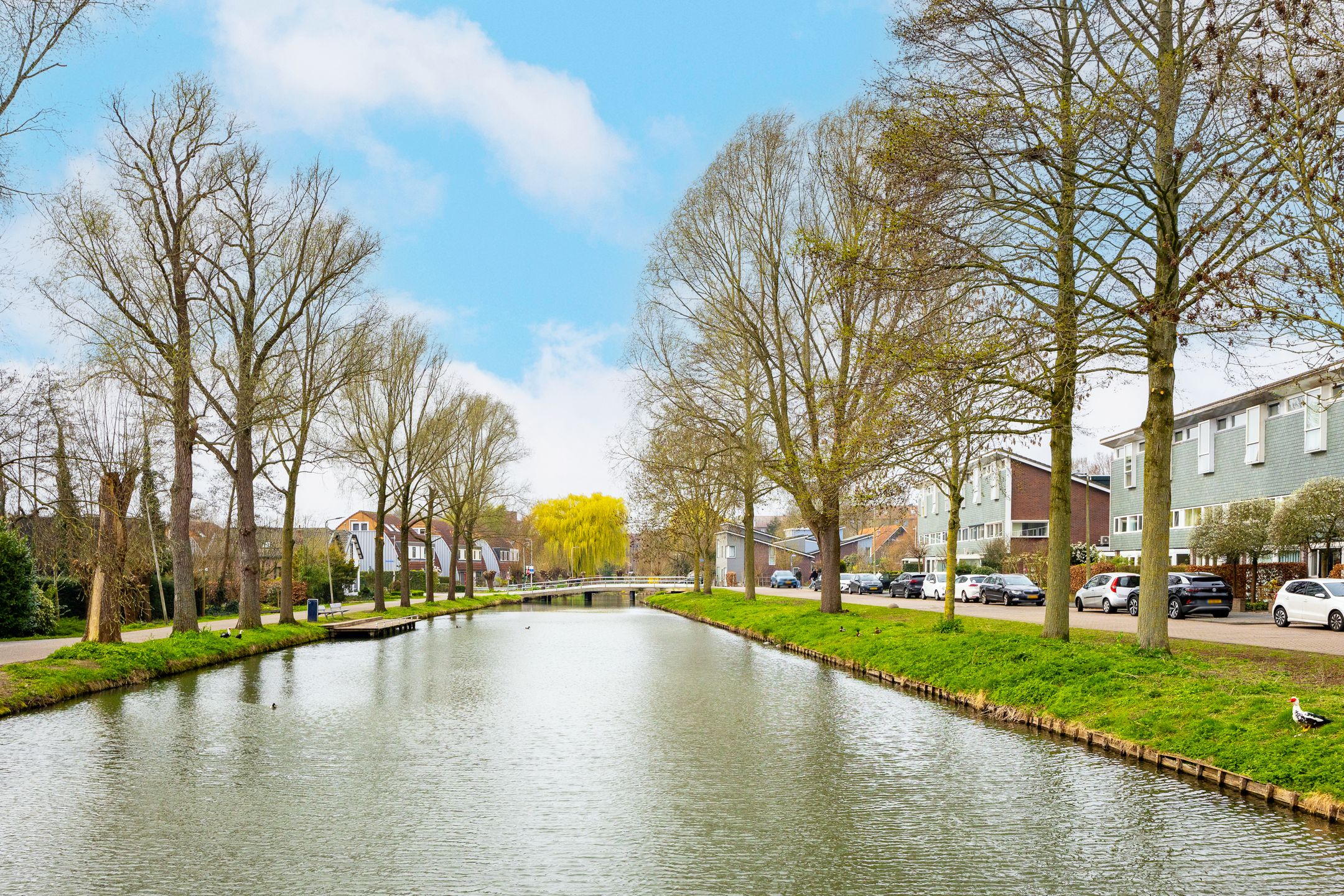 Photo 54 of Lavendelstraat 12