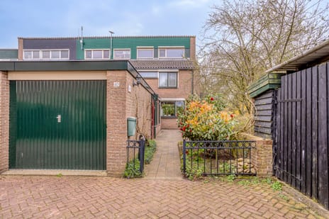 undefined main image