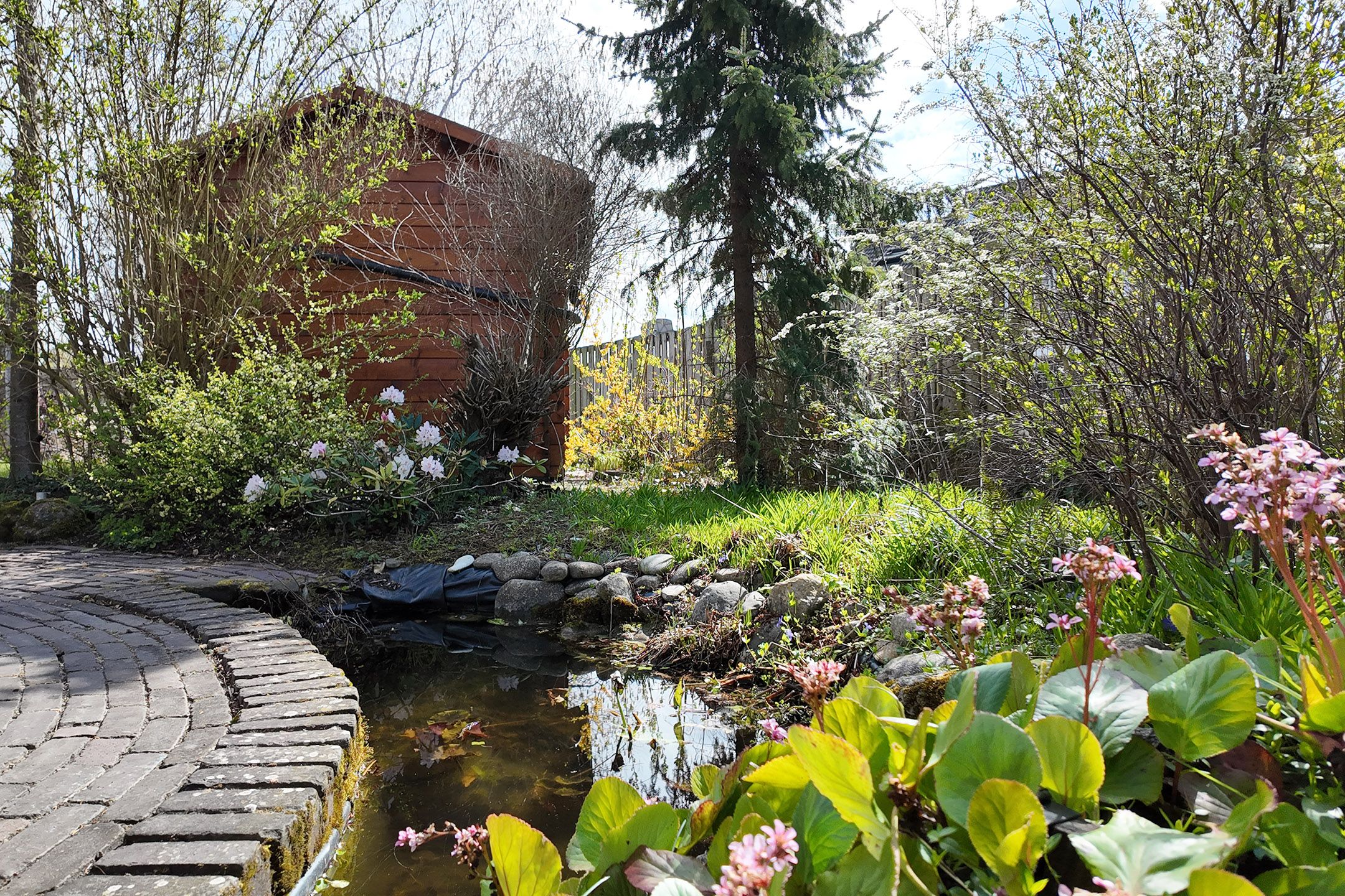 Foto 66 van Leeuwerikstraat 24