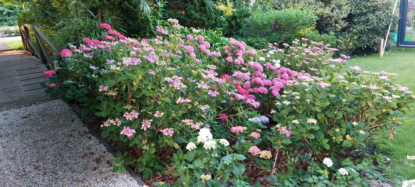 Foto 35 van Korte Zijlweg 37