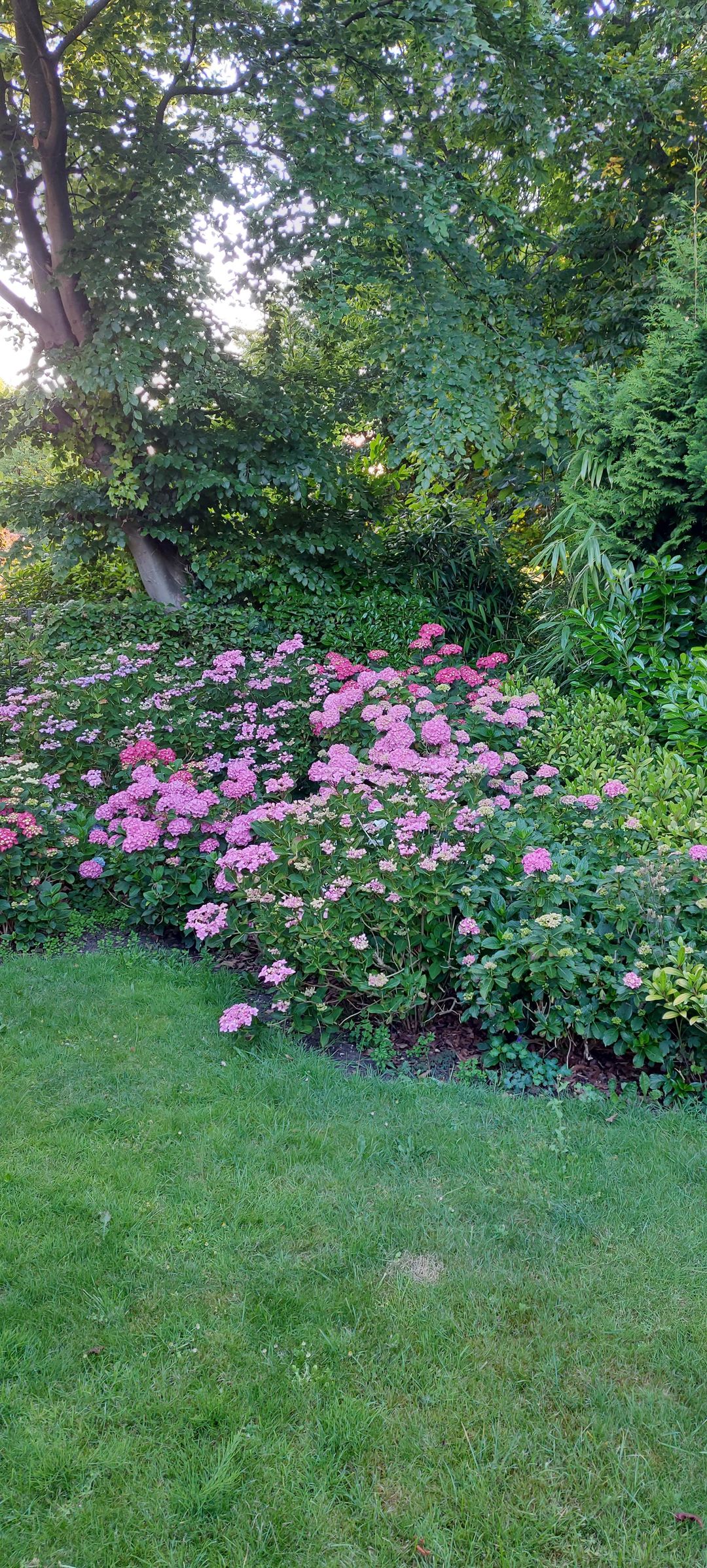 Foto 38 van Korte Zijlweg 37