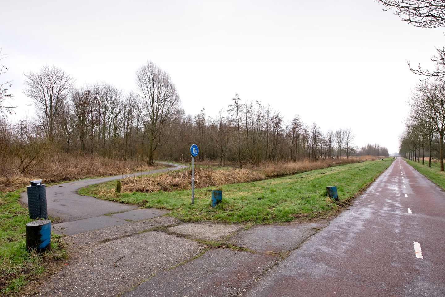 Spacious Family Home with Five Bedrooms and Sunny South-Facing Garden in Haarlem — 29