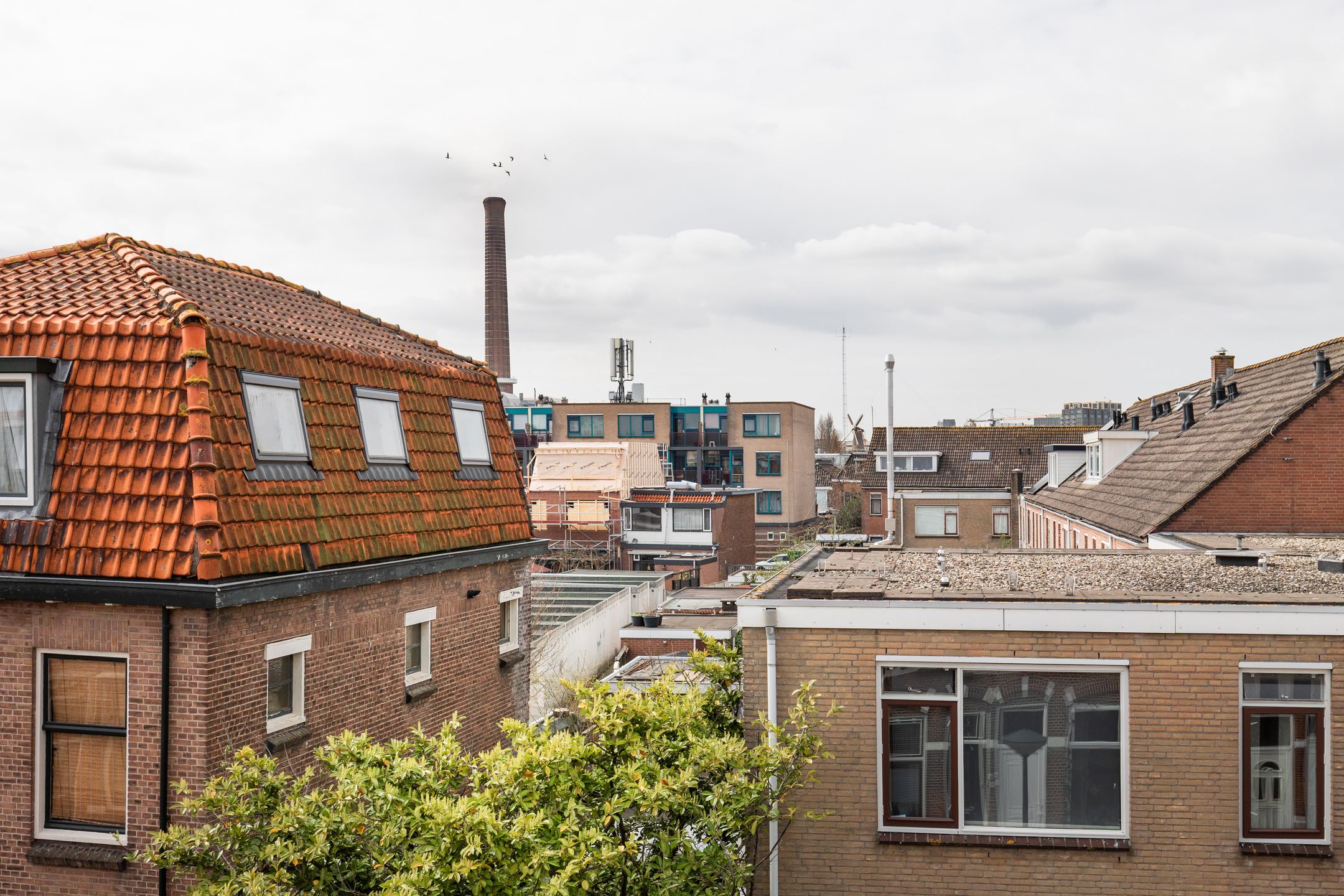 Charming renovated terraced house with 4 bedrooms near Leiden city centre — 24