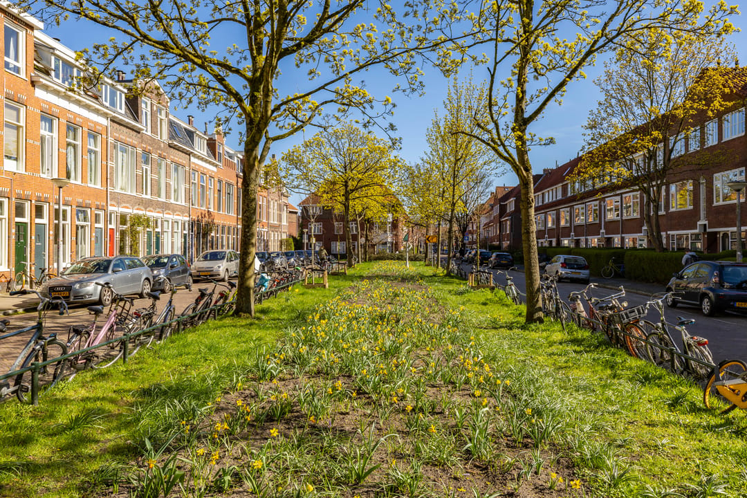 Modernized 1930s Ground Floor Apartment with Sunny Southwest Garden in Zeeheldenbuurt — 47