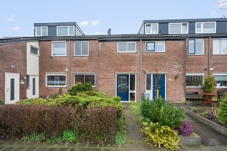 Ronhaarstraat thumbnail