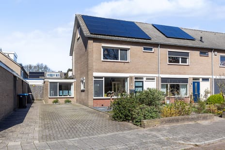 Buys Ballotstraat thumbnail