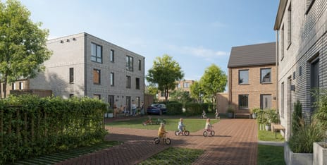 Ridderspoor thumbnail