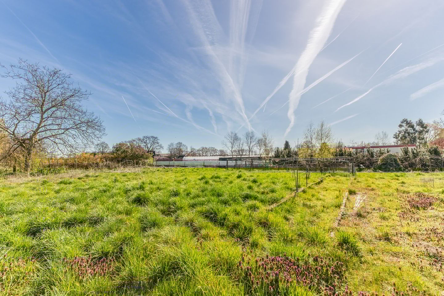 Foto 44 van Bolstweg 16