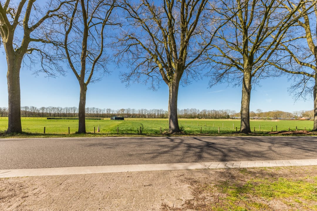 Foto 46 van Bolstweg 16