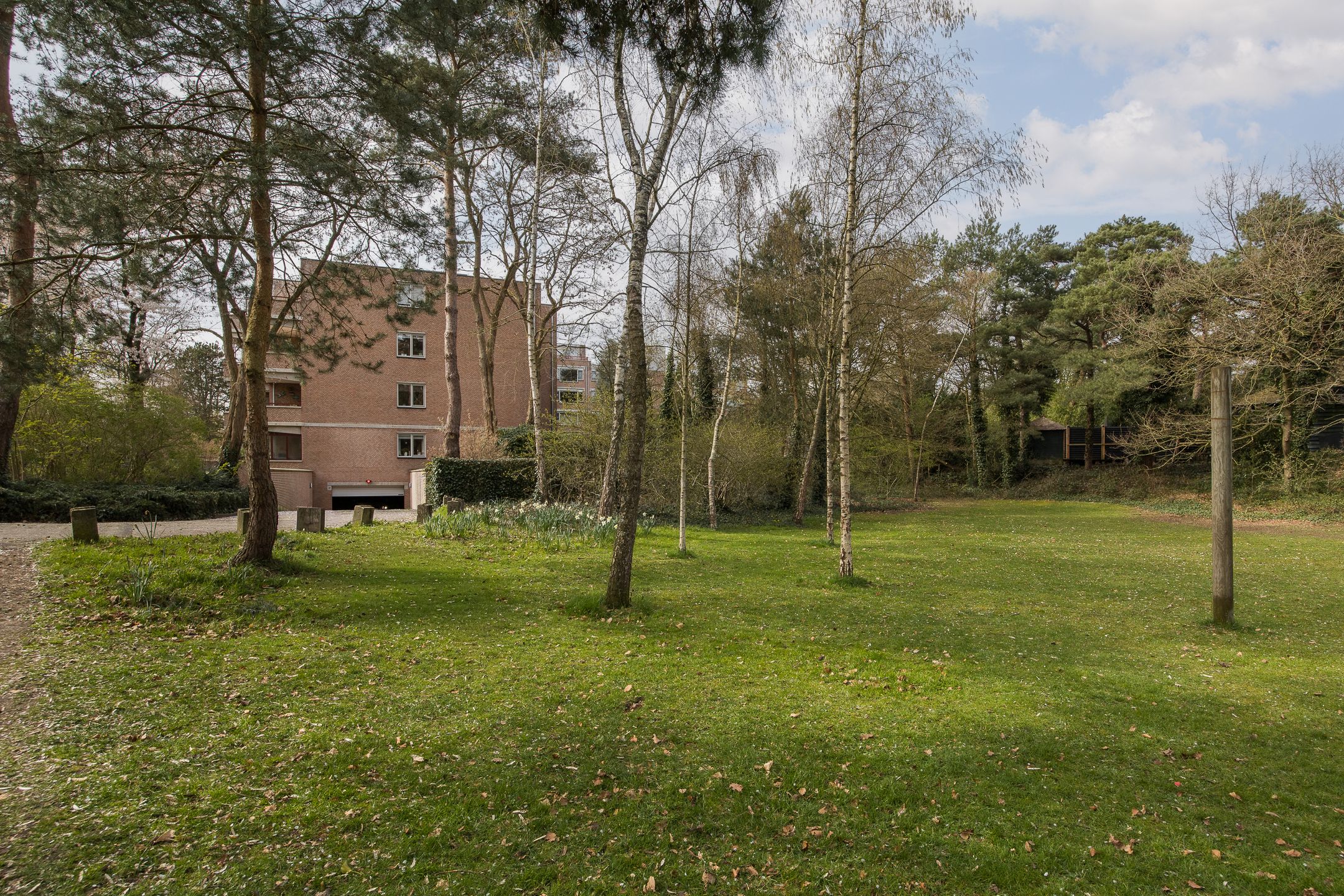 Foto 36 van Bachlaan 181