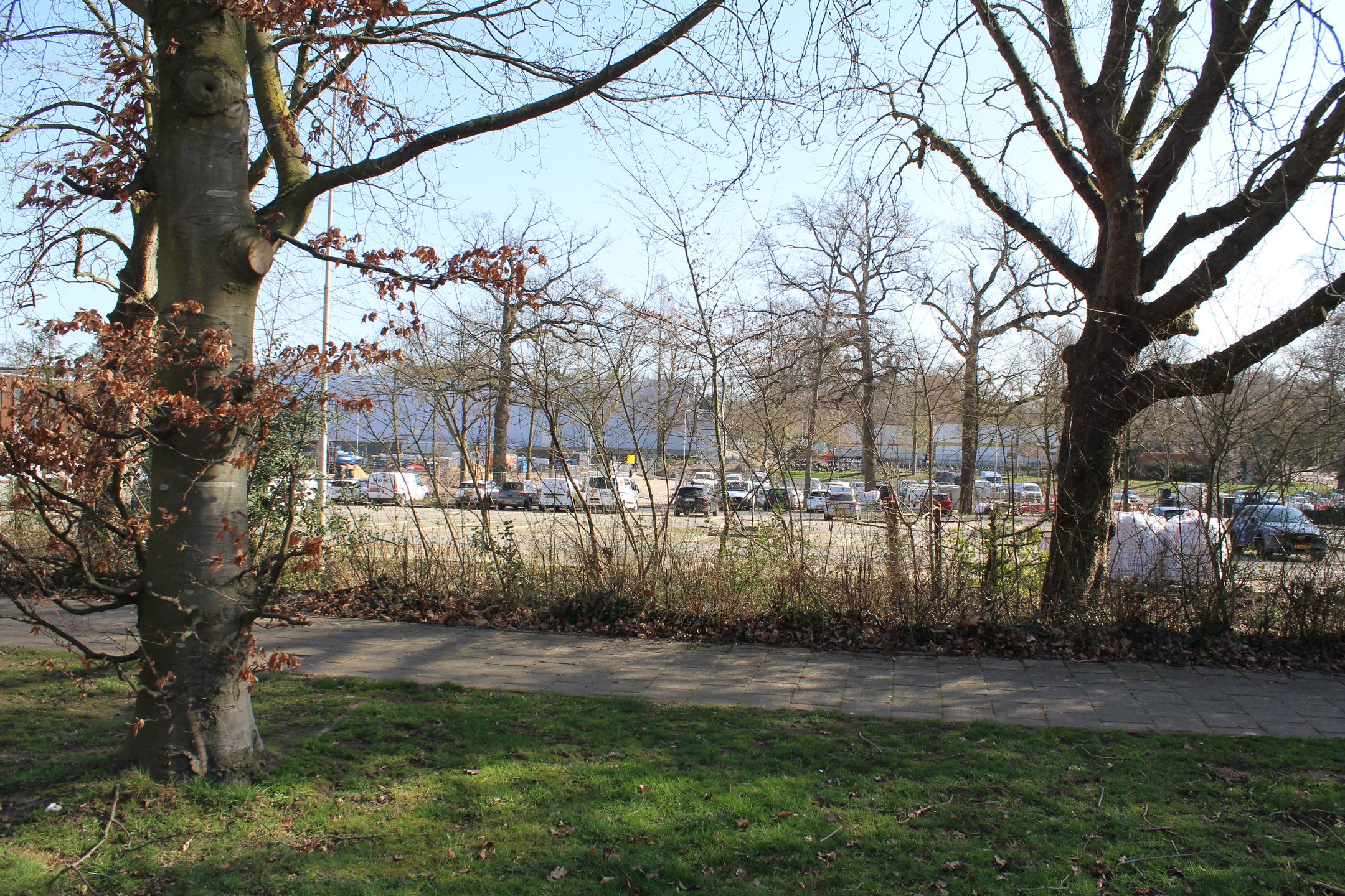 Photo 9 of Parklaan 7