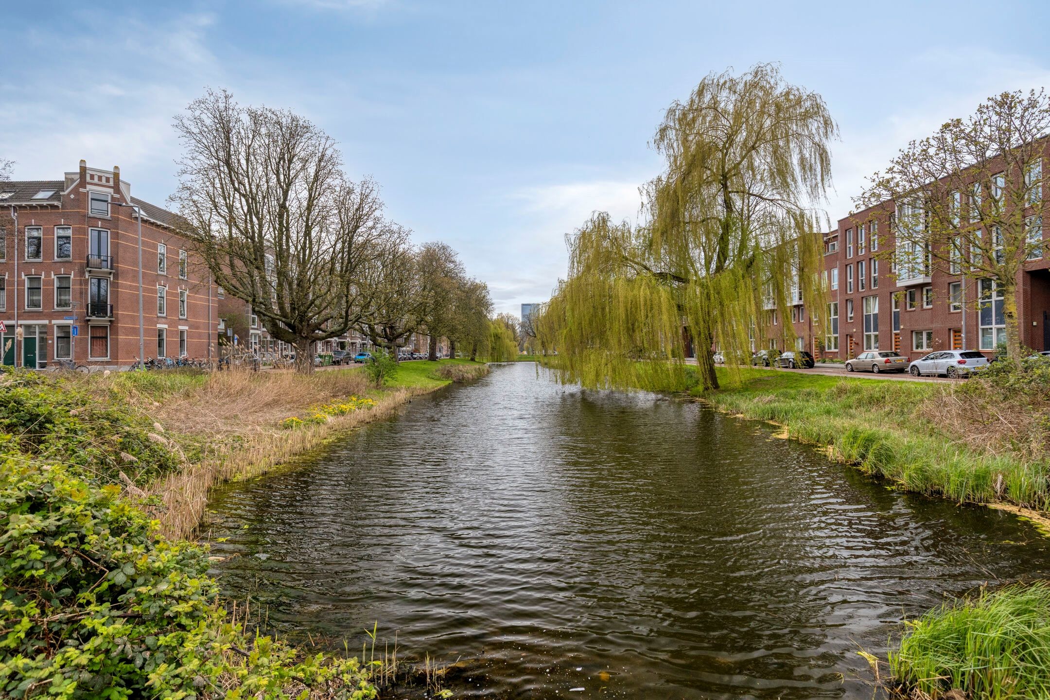 Foto 33 van Delfgaauwstraat 103-A01