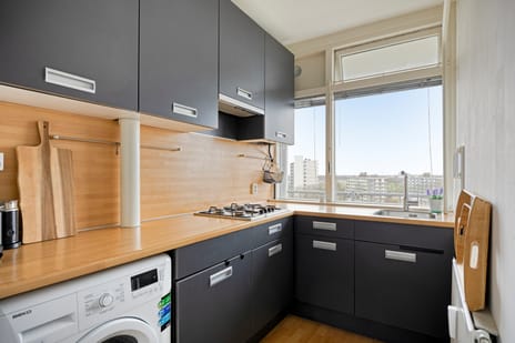 Elviraland 104 tertiary image