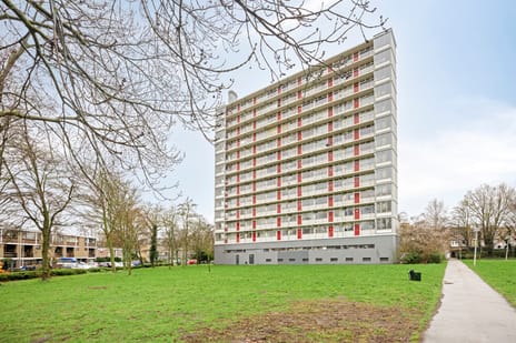 Elviraland thumbnail