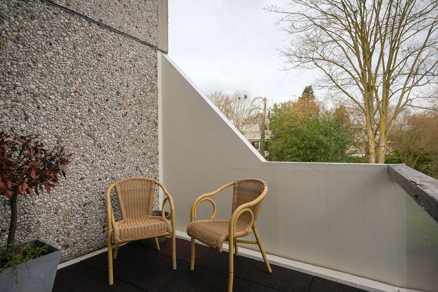 Foto 14 van Ardennen 54