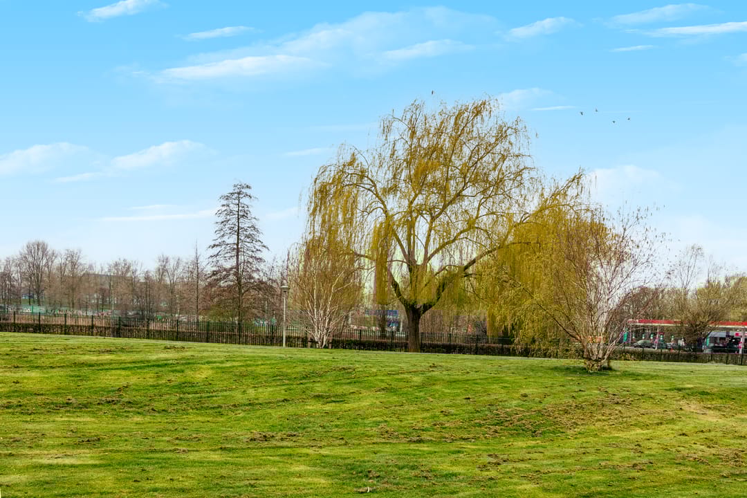 Foto 26 van Aalscholversingel 184