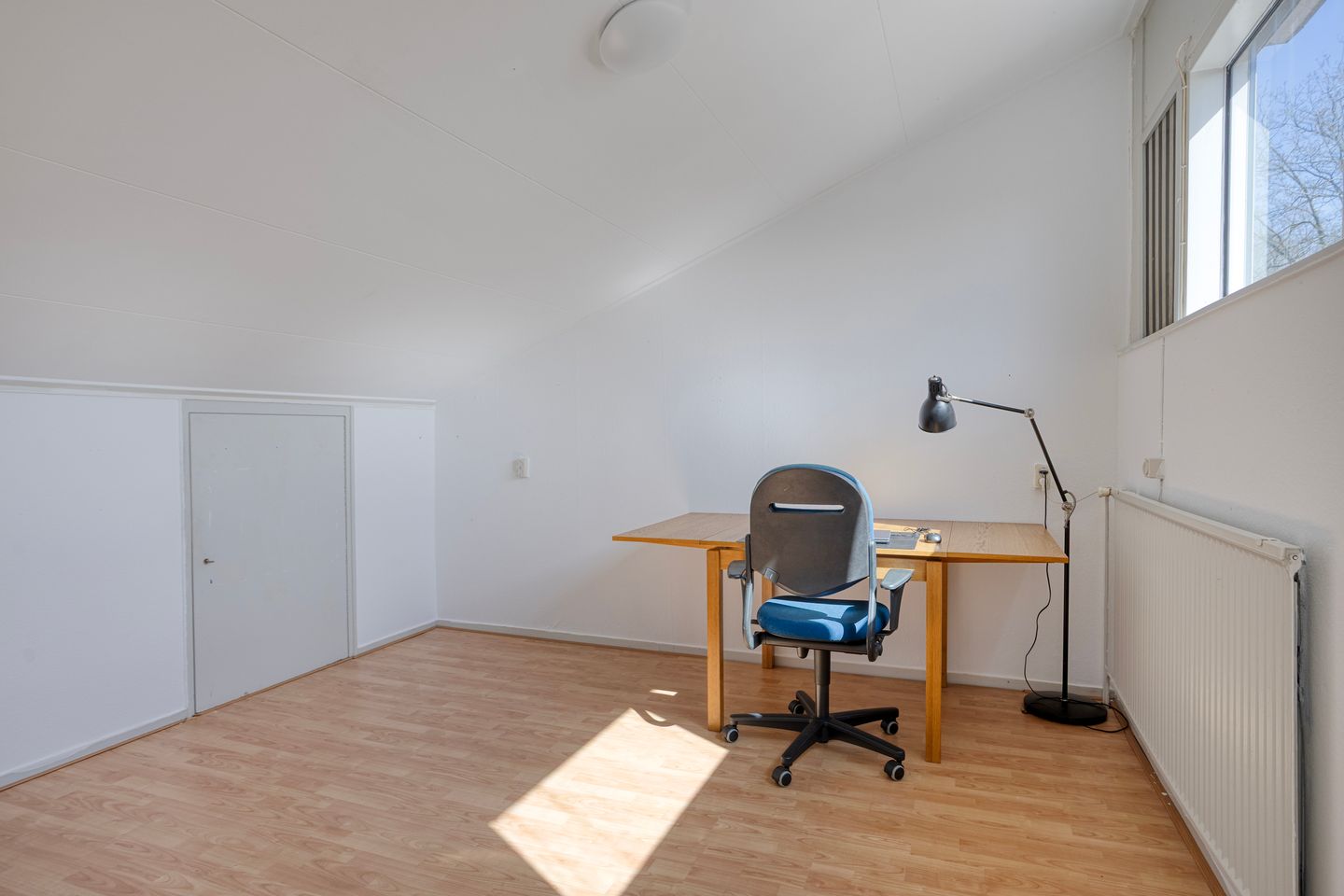 Foto 20 van Braamlanden 163