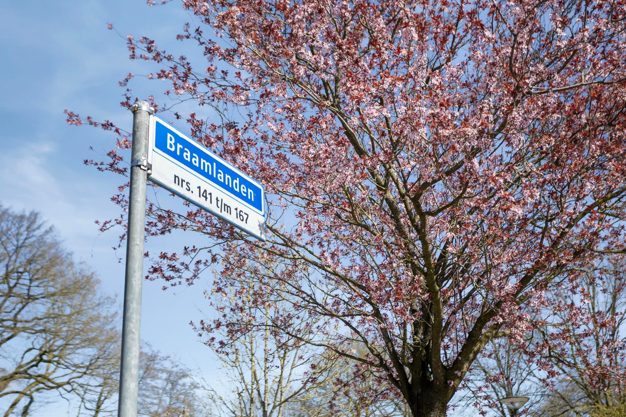 Foto 27 van Braamlanden 163