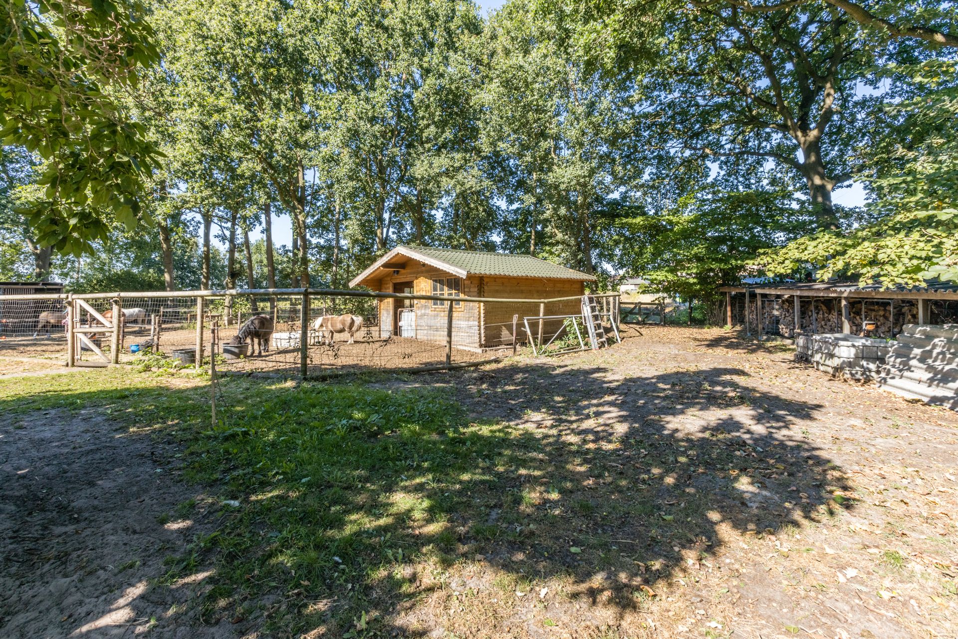 Photo 36 of Molenaarslaan 1