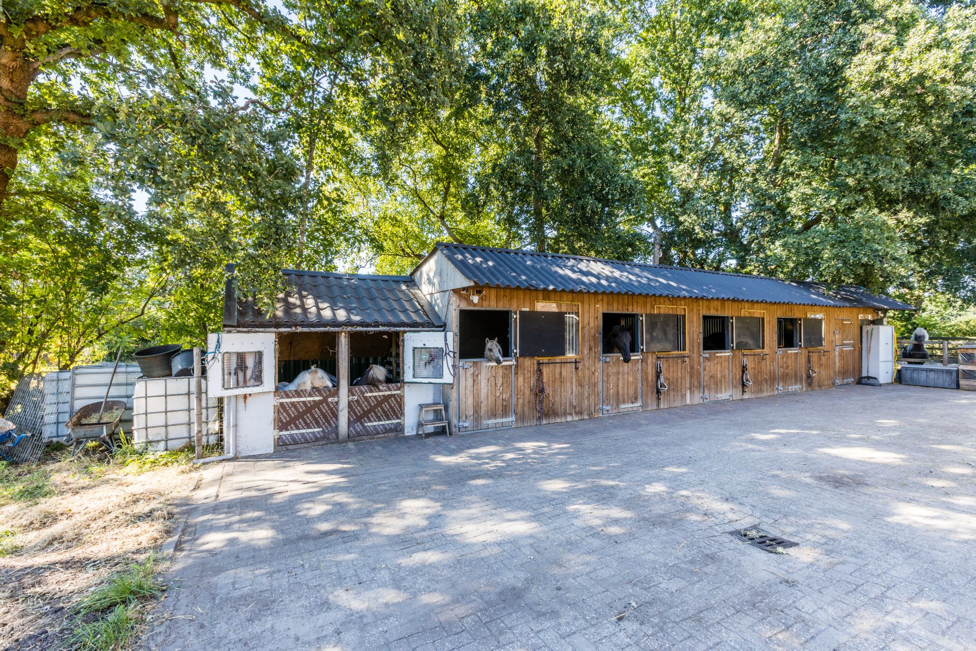 Photo 33 of Molenaarslaan 1