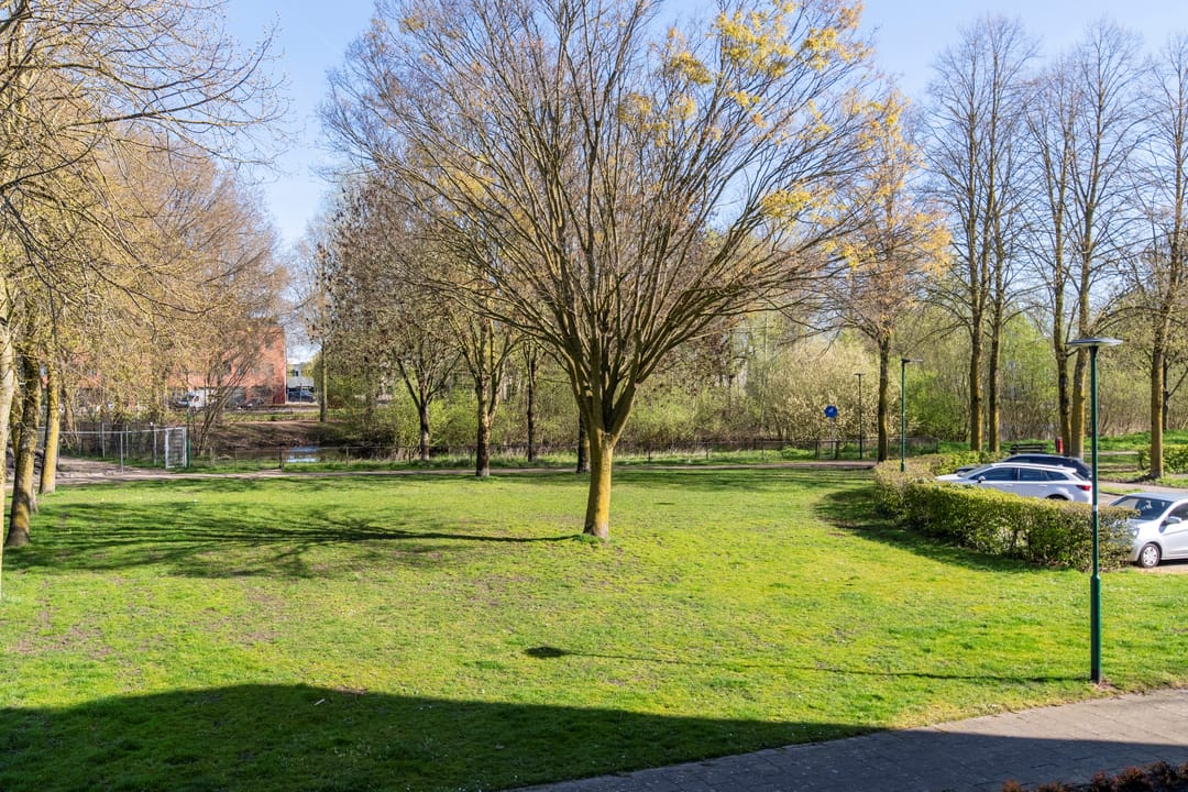 Foto 11 van Dagpauwooglaan 88