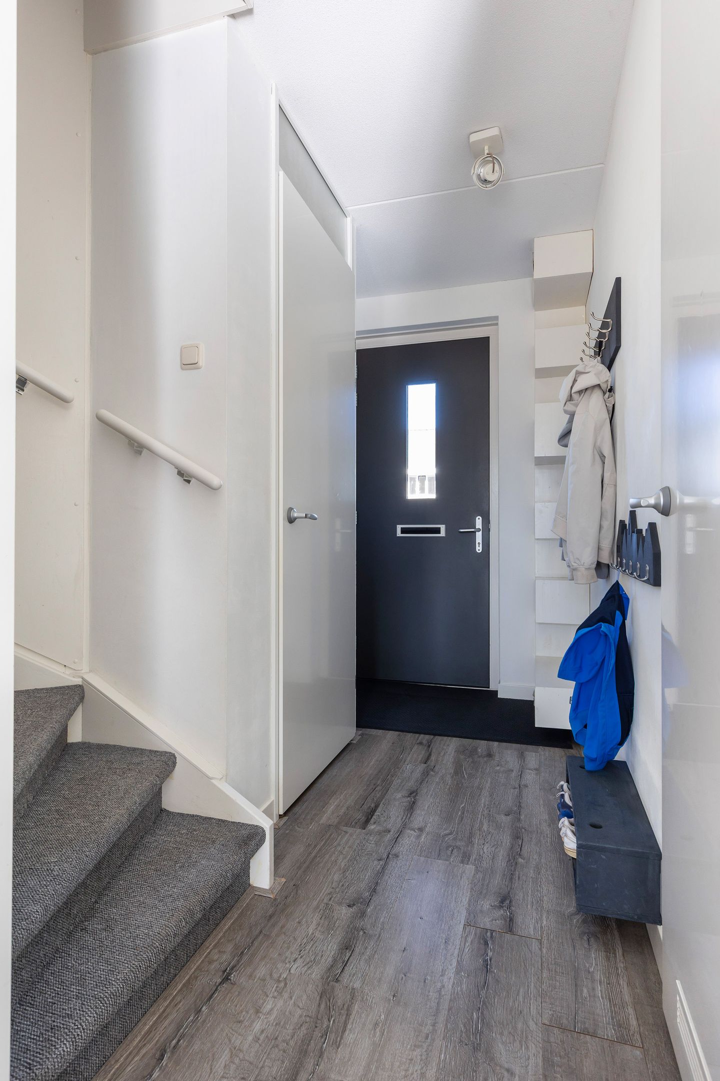 Foto 20 van Krulzoom 12