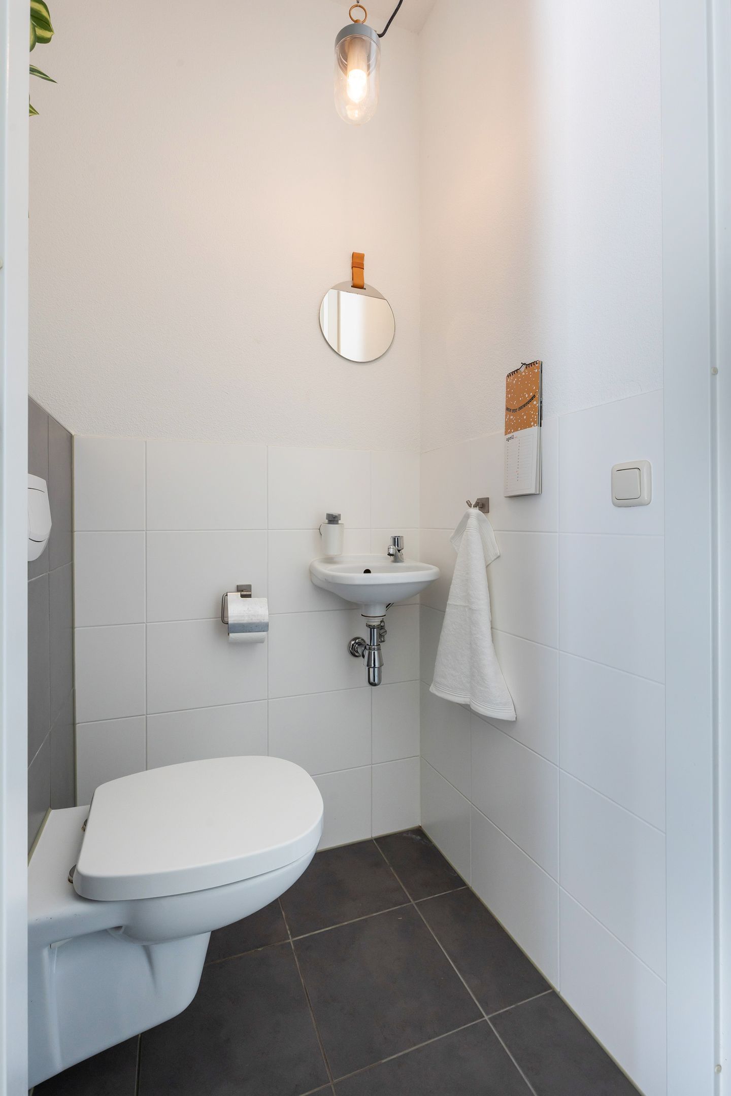 Foto 19 van Krulzoom 12