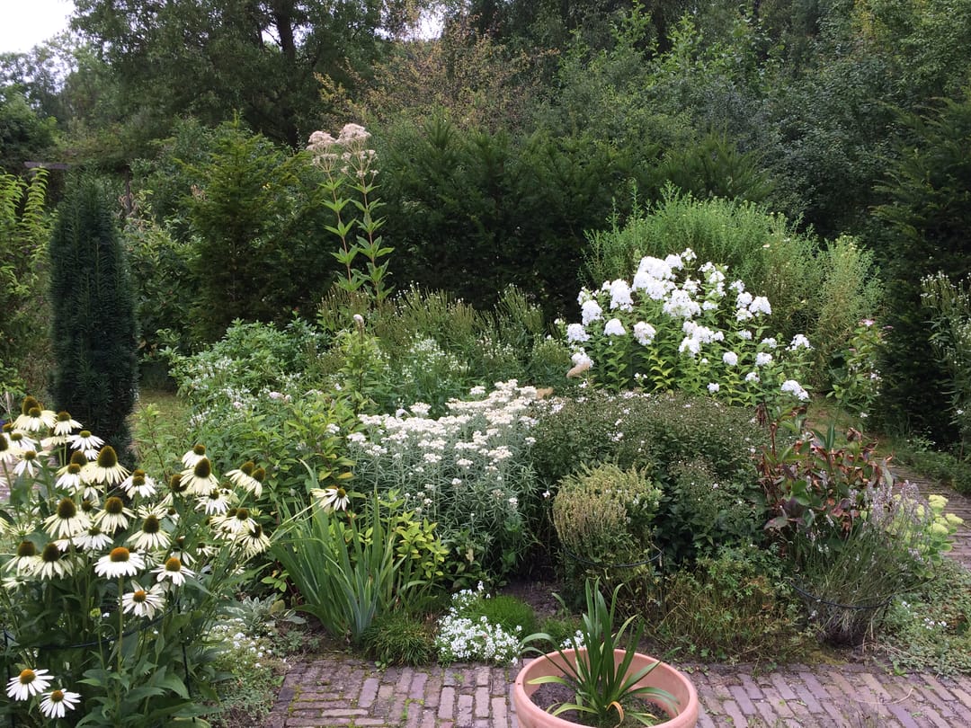 Foto 23 van Kerklaan 2