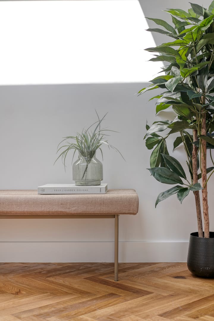 Foto 3 van Schweigmannstraat 13-B