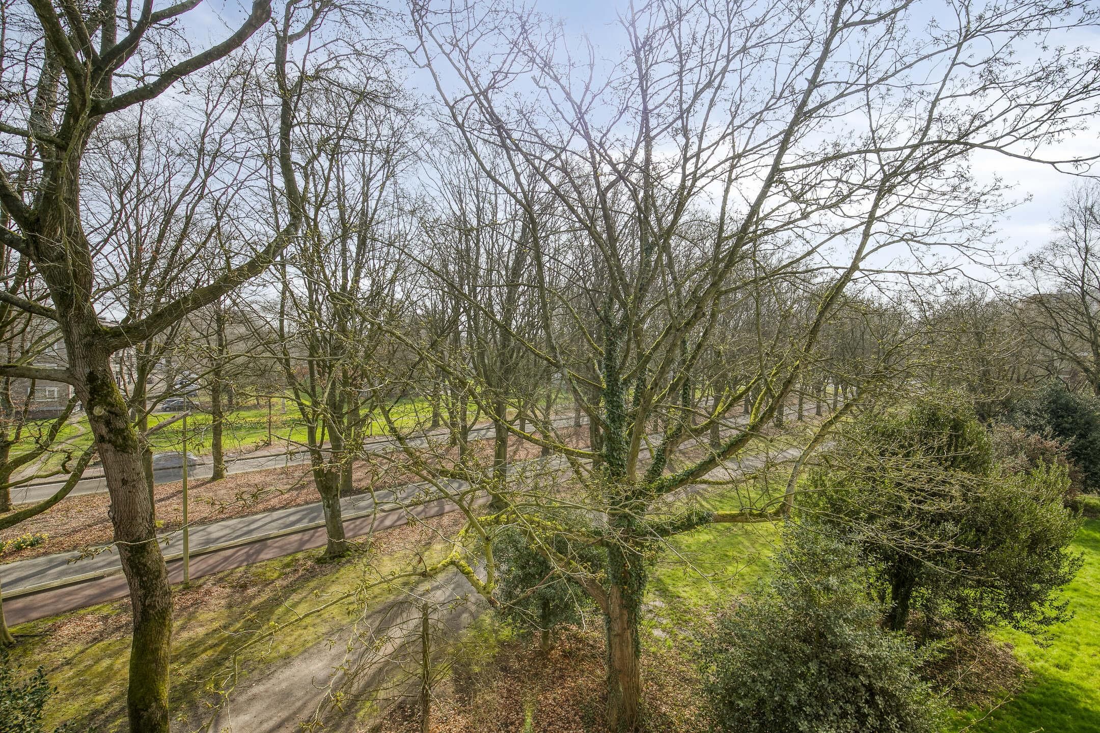 Photo 18 of Azuurweg 192