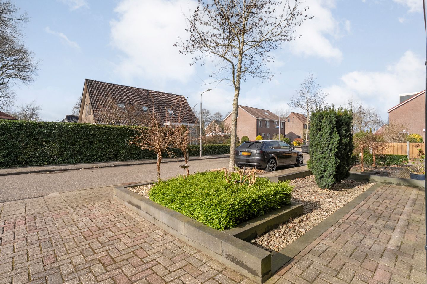 Photo 5 of Ganzebloem 26