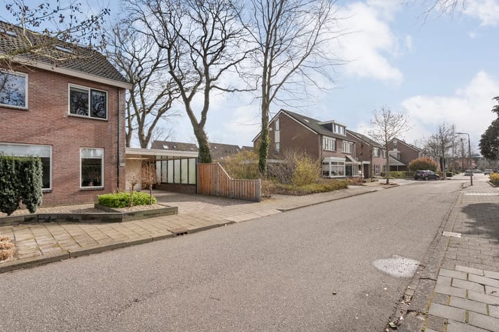 Photo 4 of Ganzebloem 26