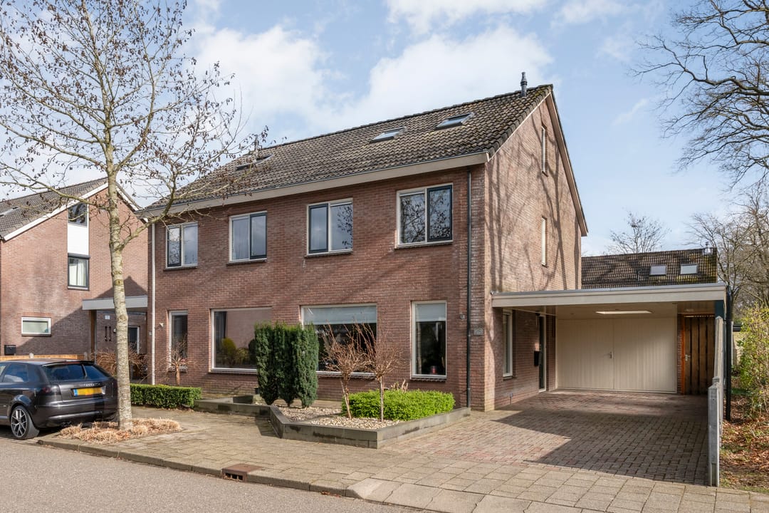 Photo 2 of Ganzebloem 26