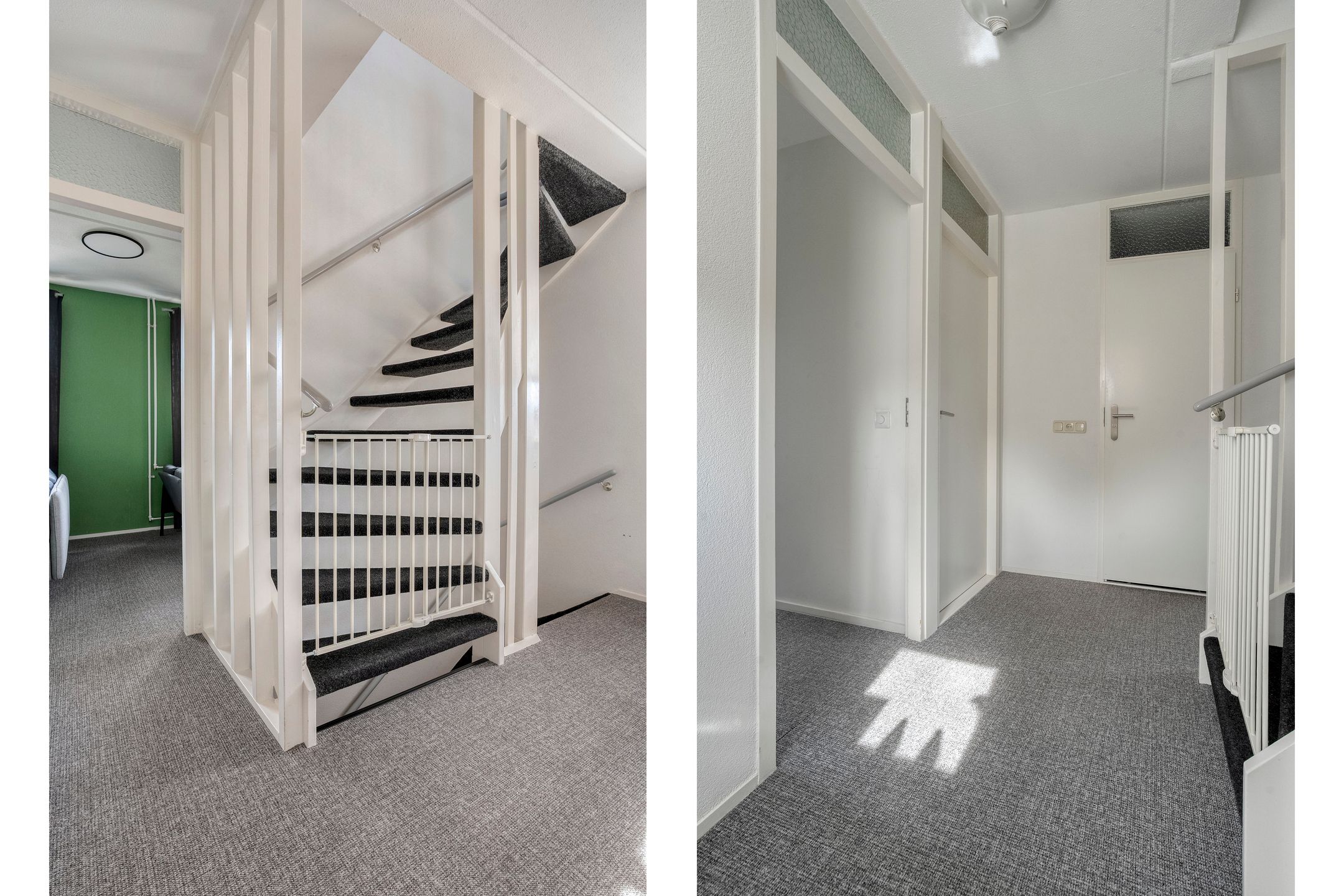 Photo 21 of Ganzebloem 26