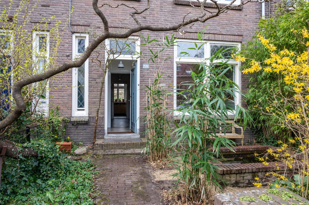 Foto 2 van Berg en Dalseweg 286