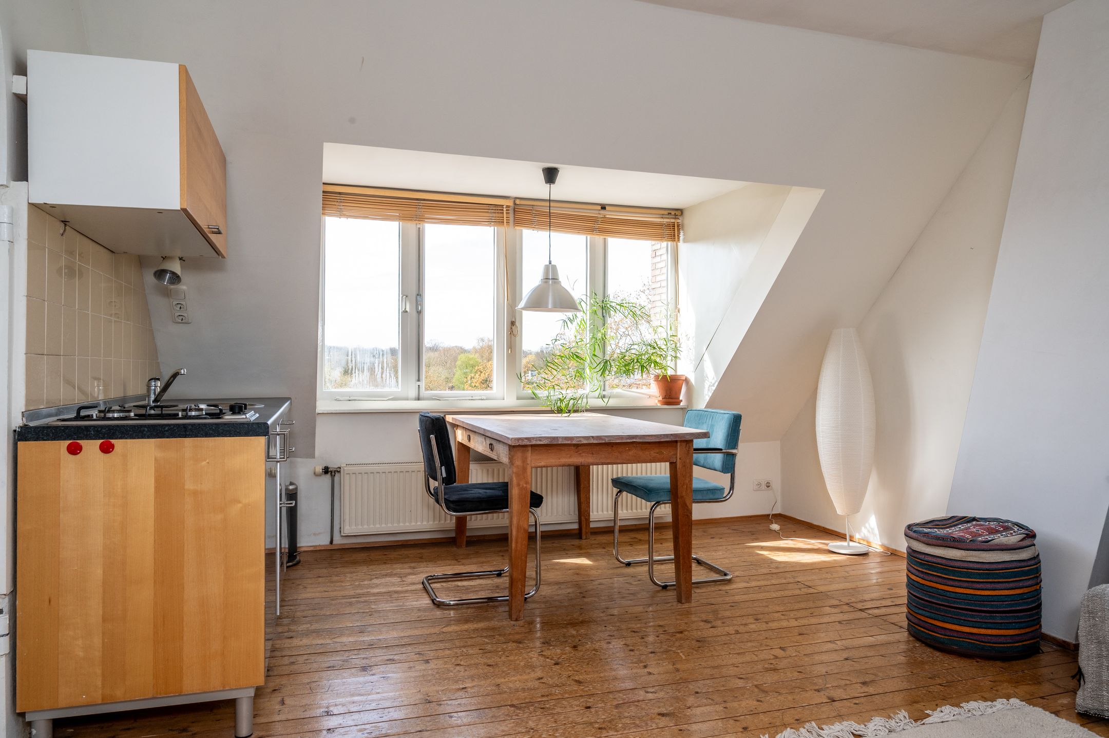 Foto 39 van Berg en Dalseweg 286