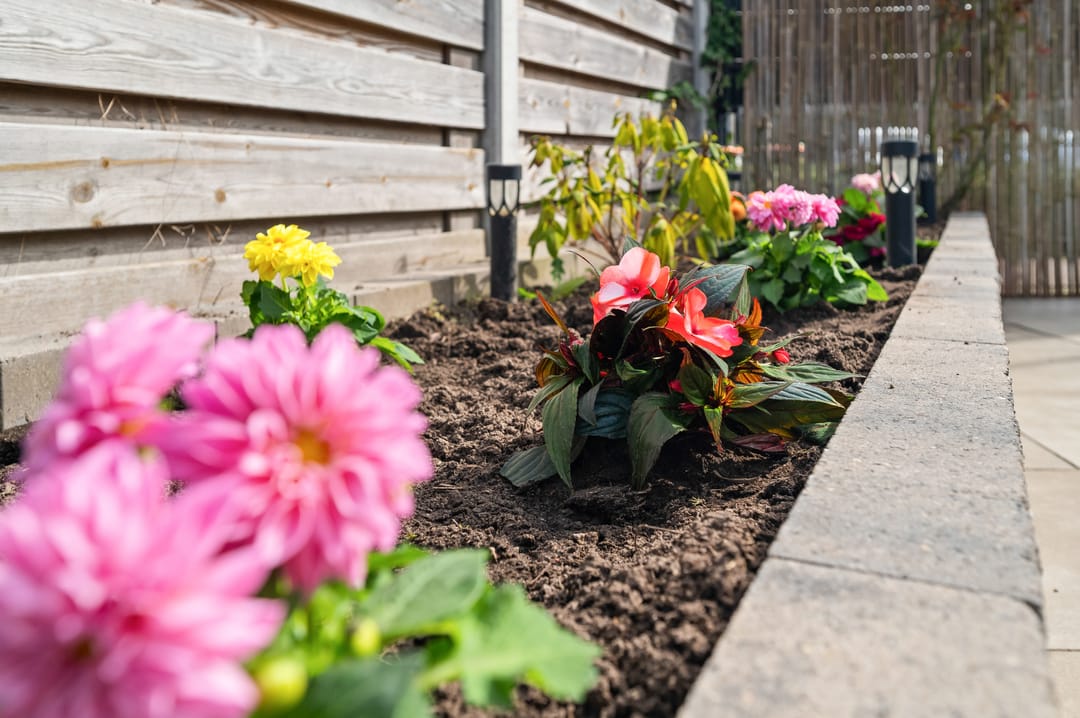 Foto 32 van Gebroeders Cohenstraat 86-A